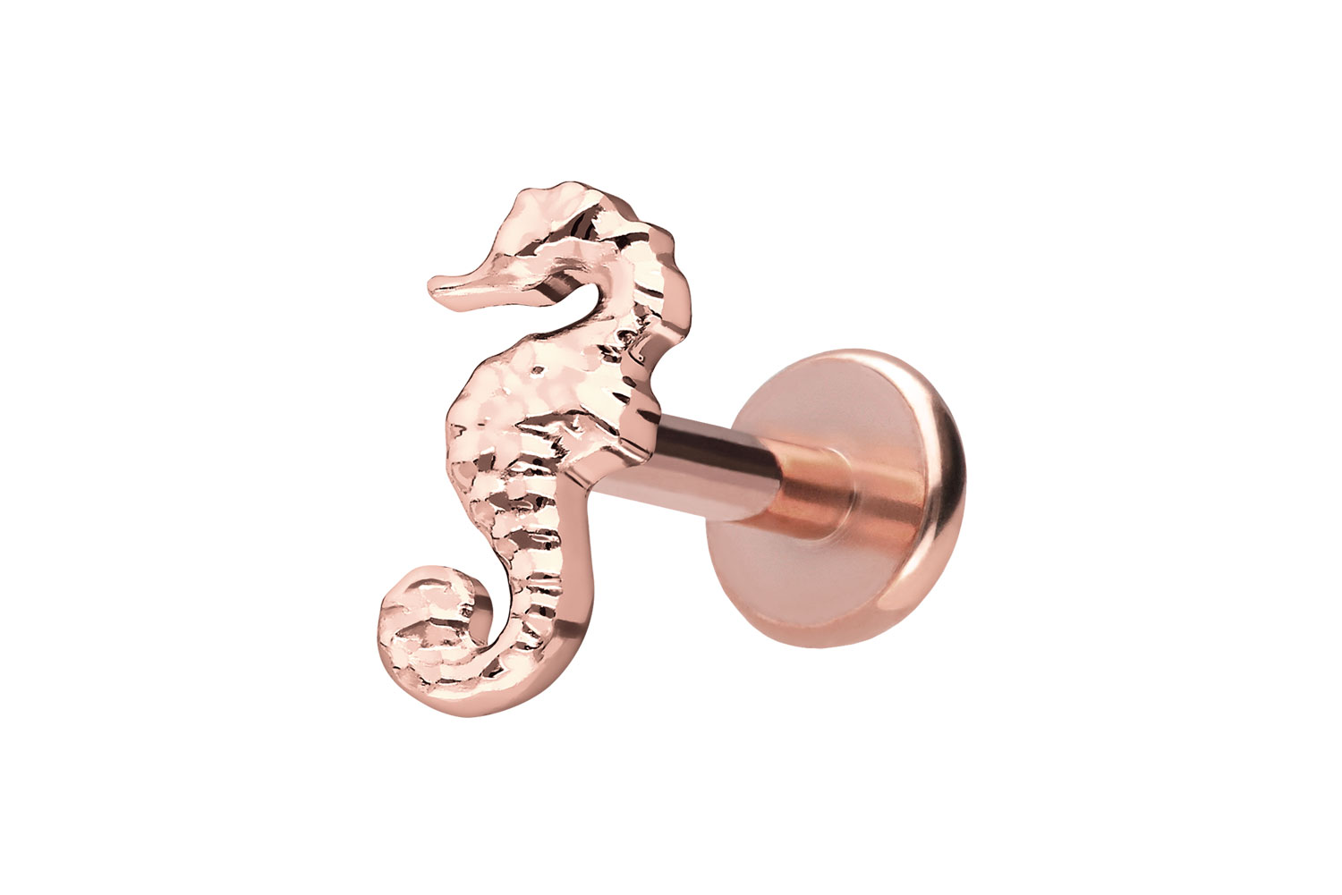 Titan Labret Piercing mit Push Fit SEEPFERDCHEN